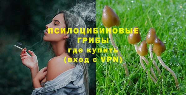 эйфоретик Армянск