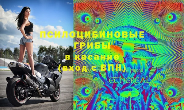 герыч Алзамай