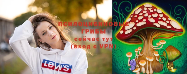 эйфоретик Армянск
