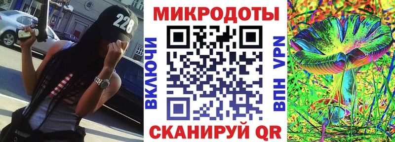 Псилоцибиновые грибы Cubensis даркнет сайт Порхов